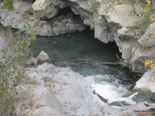 cantara gurne06-01-2014 19-26-17